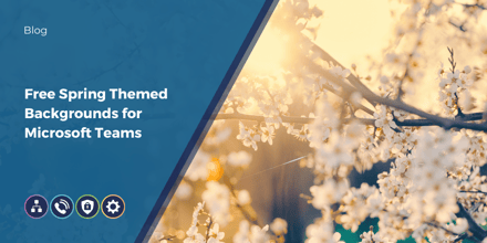 Seasonal Spring Backgrounds for Online Meetings placeholder thumbnail