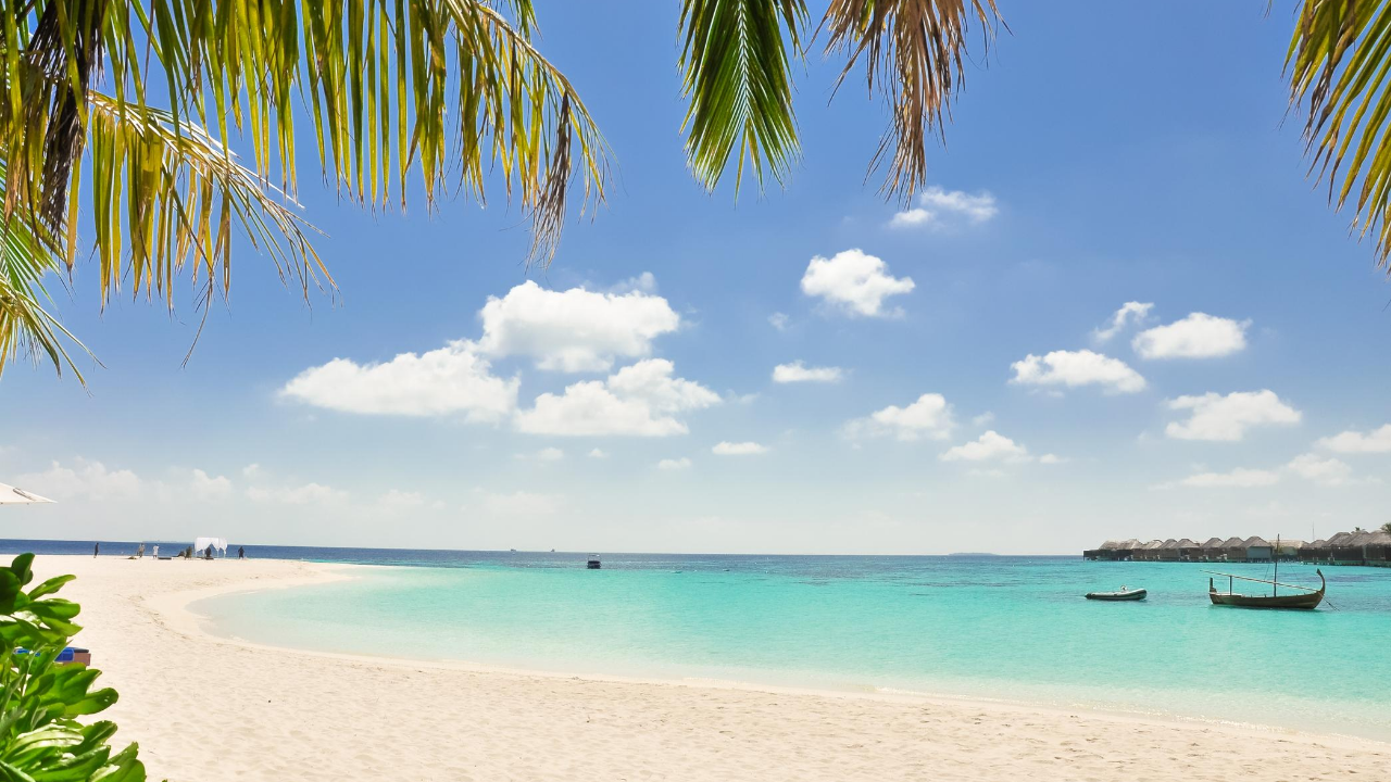 Beach View