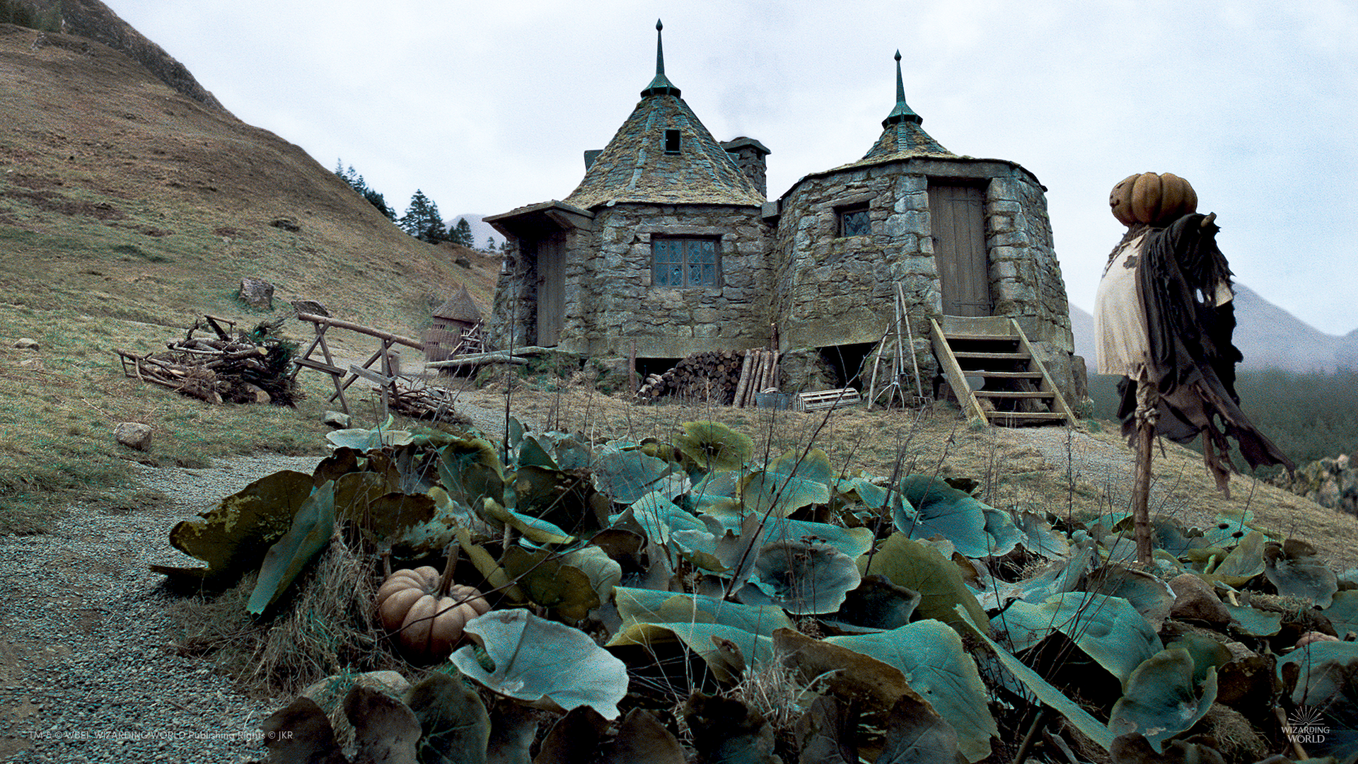 Hagrids Hut
