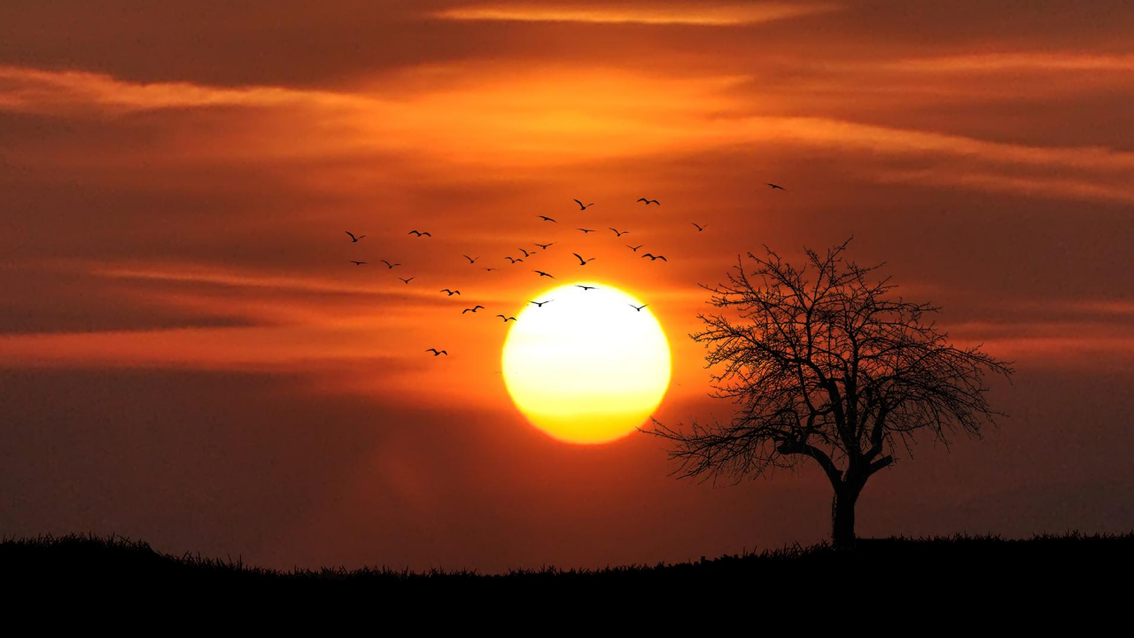 Sunset View