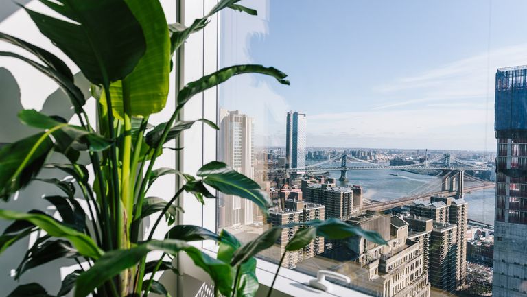 interior-westelm-city-view